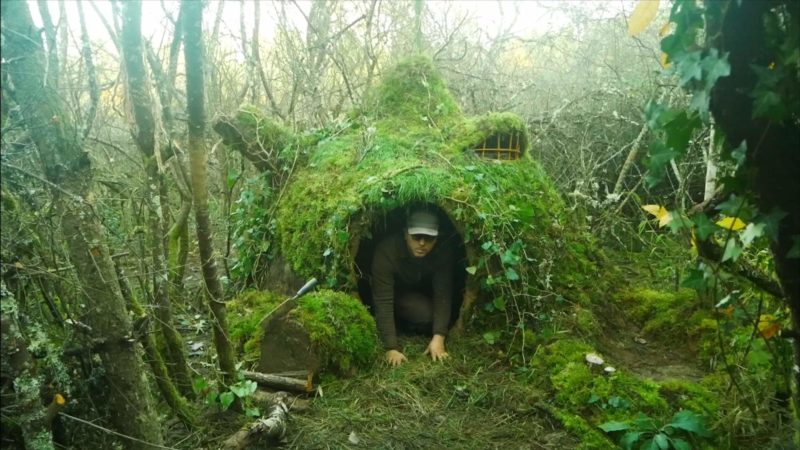 FB_IMG_1638111082884