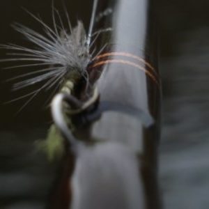 Group logo of Fly Tying